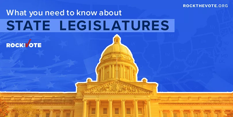 State Legislatures - Democracy Explainer